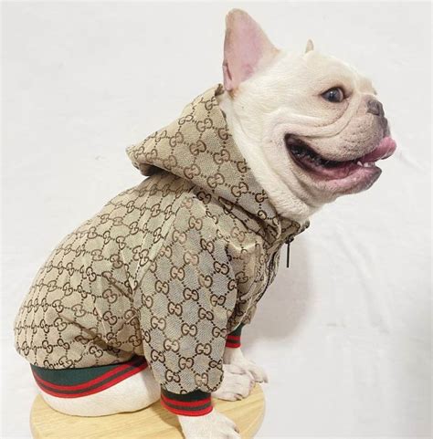 gucci sweater for dogs|gucci jacket for dogs.